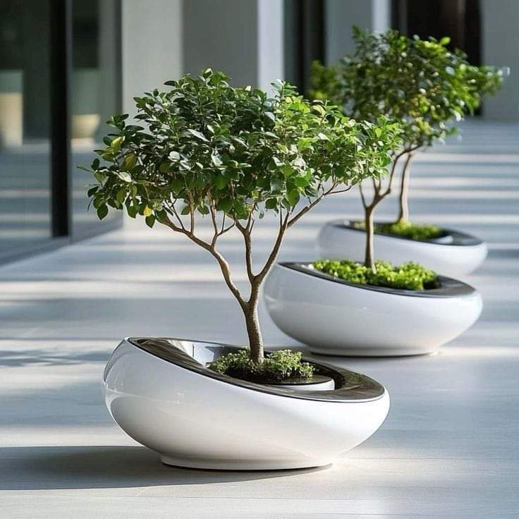 WhatsApp Image 2024-09-24 at 9.38.05 PM (1)