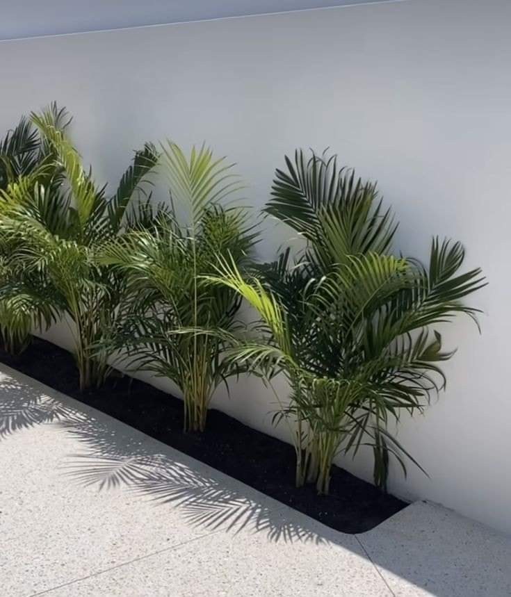 WhatsApp Image 2024-09-24 at 9.38.06 PM (1)