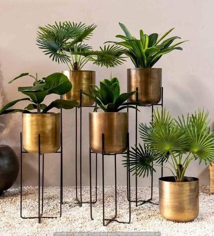 WhatsApp Image 2024-09-24 at 9.38.12 PM (1)